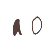 ao（アオ）
