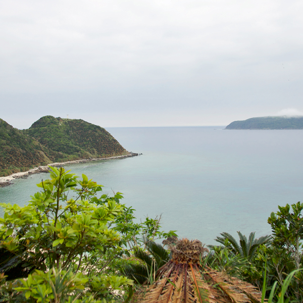 奄美大島の風景