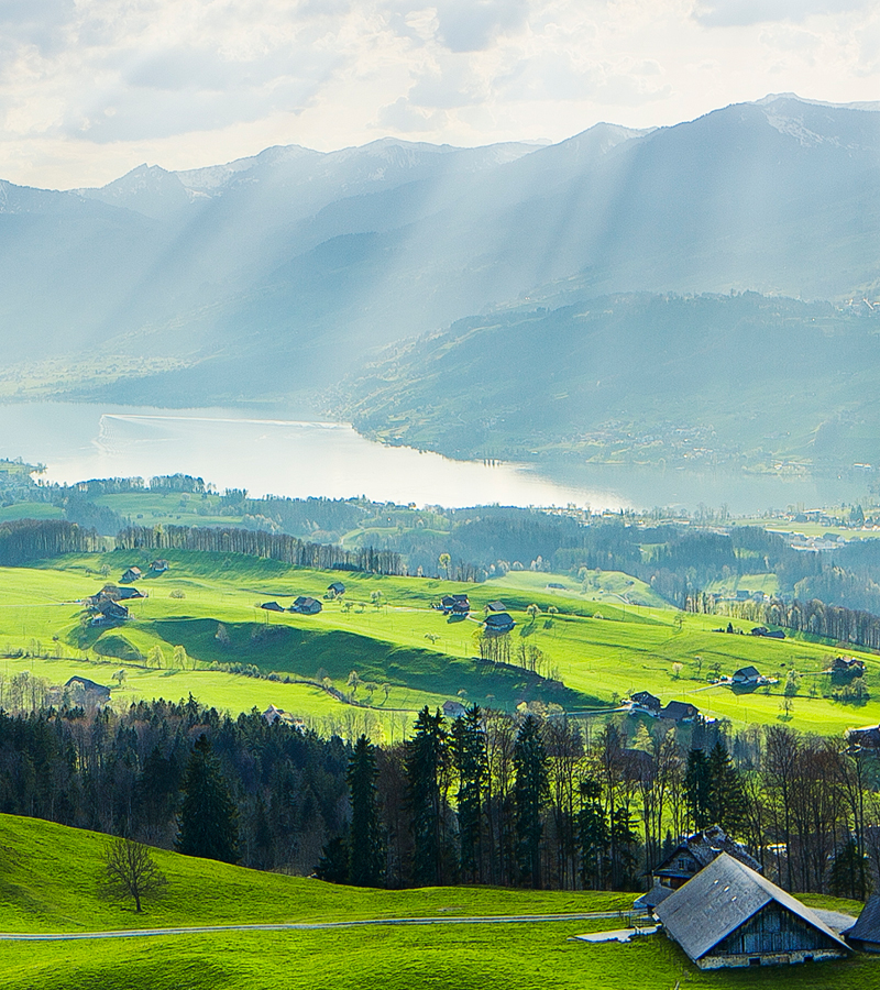 暮らしの中でハーブオイルを取り入れるイメージ