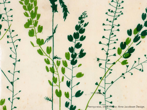 Pennycress GR 図案
