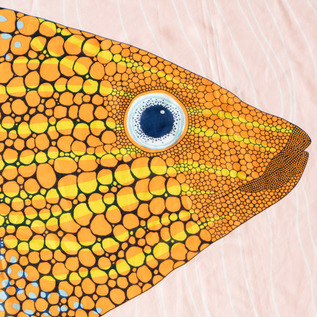 鮮やかな魚のデザイン