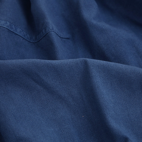 INDIGO-ISH