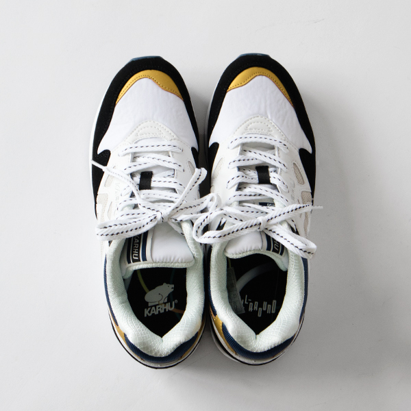 上から見た様子