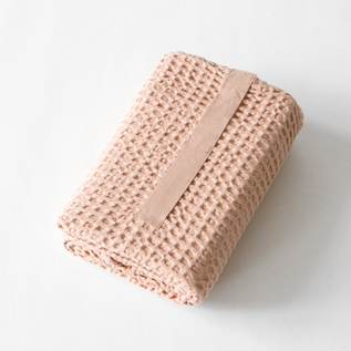 Pale Rose Pale Rose