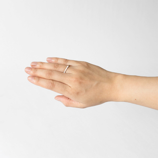 着用イメージ(Polished Stee) 着用イメージ(Polished Stee)