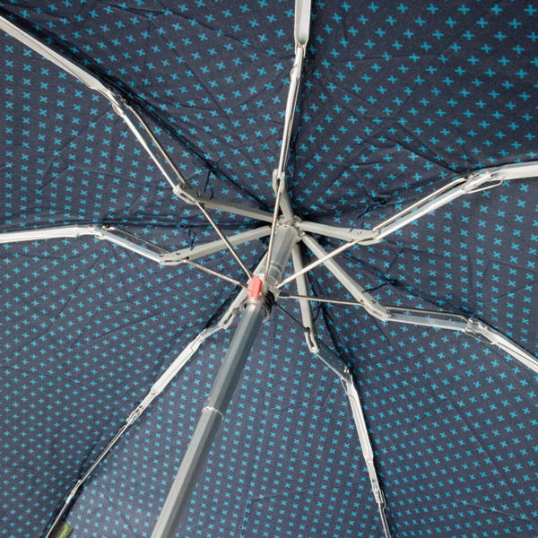 開いた様子(Sea) 開いた様子(Sea)