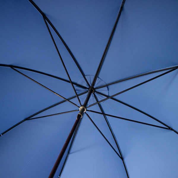 丈夫な8本骨 丈夫な8本骨