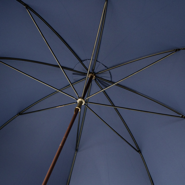 丈夫な8本骨 丈夫な8本骨