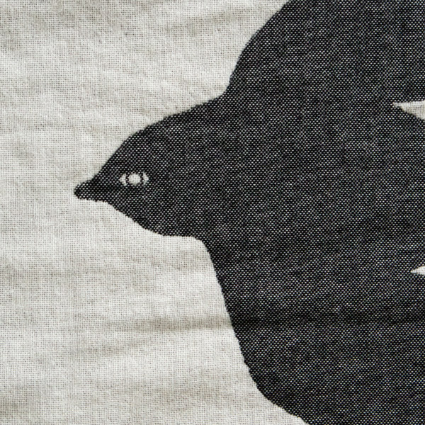 愛らしい表情の鳥(BELUGA)