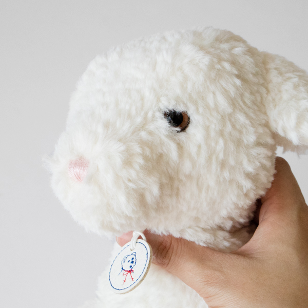 つぶらな瞳で愛くるしい表情 つぶらな瞳で愛くるしい表情