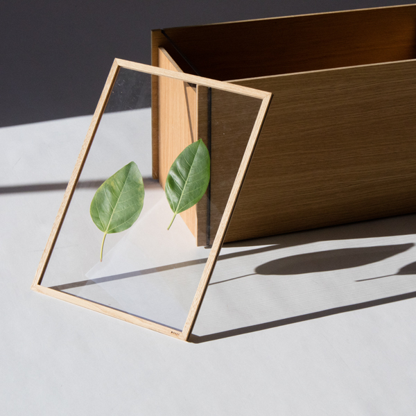 標本のように、葉っぱや押し花を挟む(OAK)