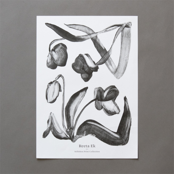 【A】Tulip3 【A】Tulip3