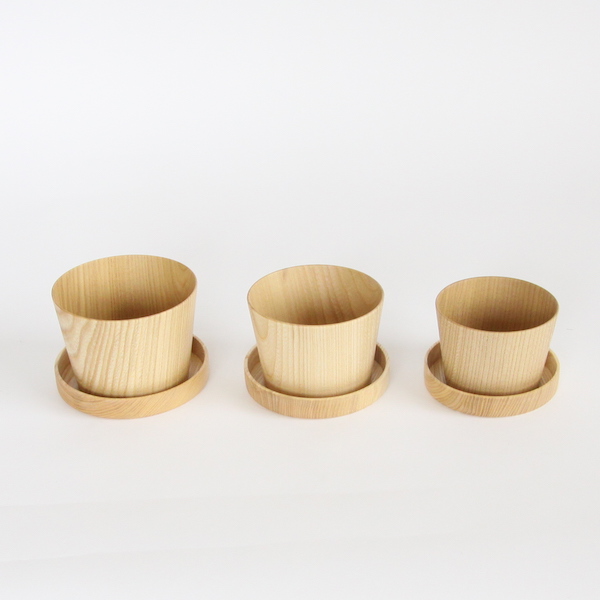 KAMI Glass フリーに、KAMIシャーレ（別売）を蓋として。