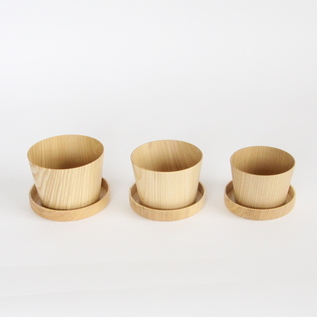 KAMI Glass フリーに、KAMIシャーレ（別売）を蓋として。
