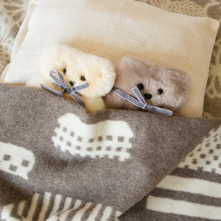 リトルカドルベア／ELKS&ANGELS（エルクスアンドエンジェルス