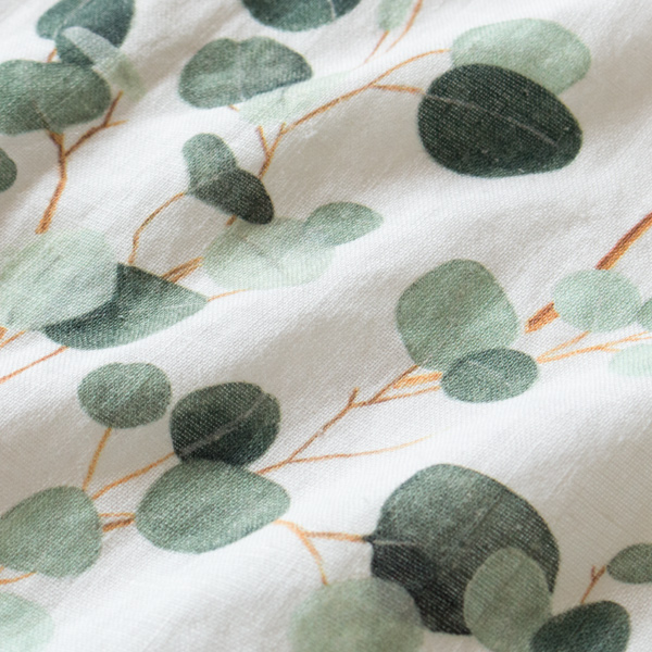 EUCALYPTUS ON WHITE