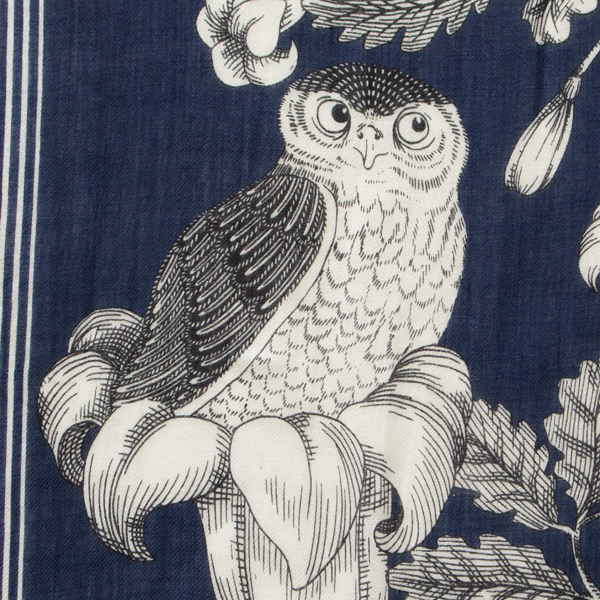 美しい草木に止まるフクロウ。アライグマを見つめる表情にも注目です(NAVY)