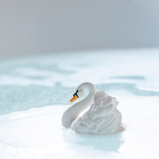 お風呂に浮かべた姿がまるで本物の白鳥のようですね お風呂に浮かべた姿がまるで本物の白鳥のようですね