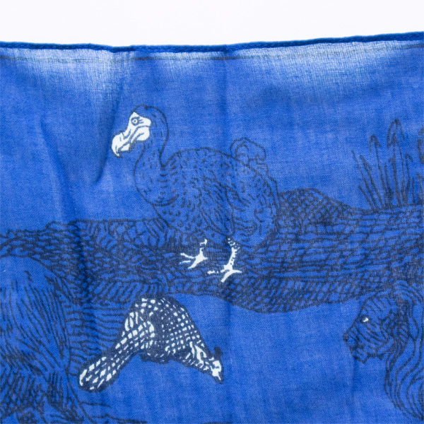 ドードーの姿も(BLUE) ドードーの姿も(BLUE)