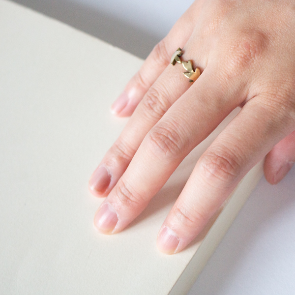 自然界にある美しさを取り入れたデザイン 自然界にある美しさを取り入れたデザイン