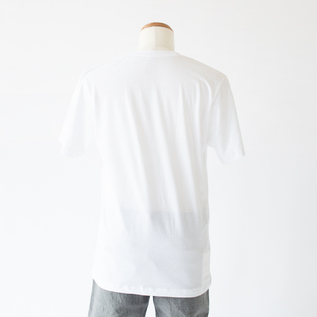 WHITE WHITE