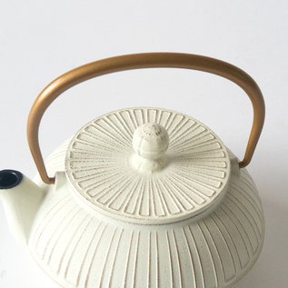 急須（ティーポット）／岩鋳（いわちゅう）｜愛着を持ってずっと使い