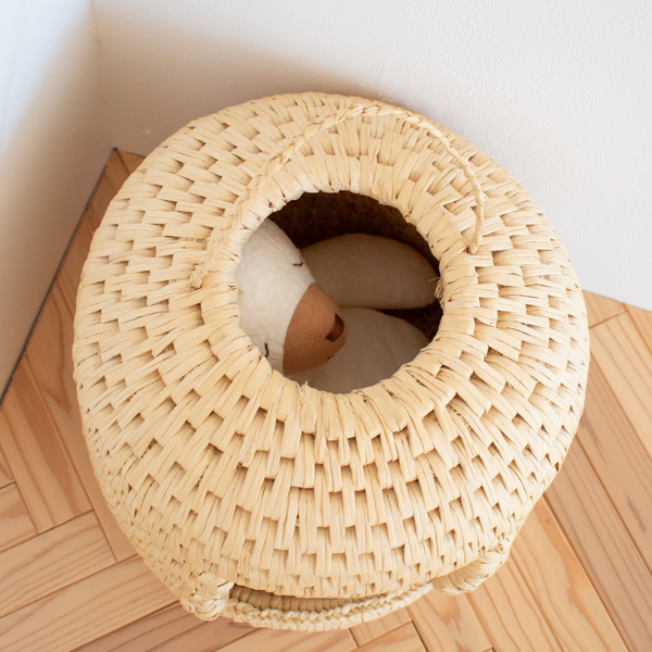 側面と天井に窓が付いています(35cm)