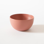 ECHIZEN HARD LACQUER BOWL S