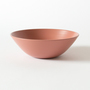 ECHIZEN HARD LACQUER FLAT BOWL S