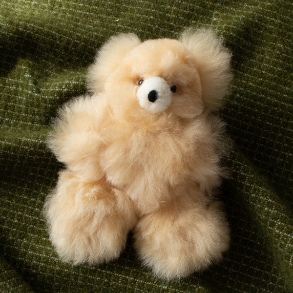 BEAR BEAR