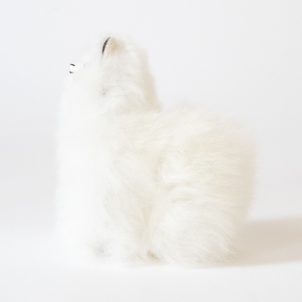 ALPACA WHITE