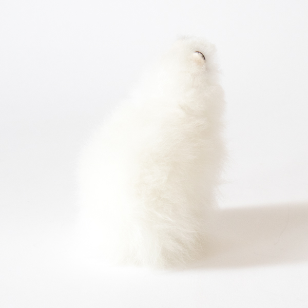 ALPACA WHITE