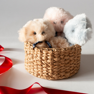 ぬいぐるみ LE PETIT FRENCHIE 20cm／MAILOU TRADITION（マイルー