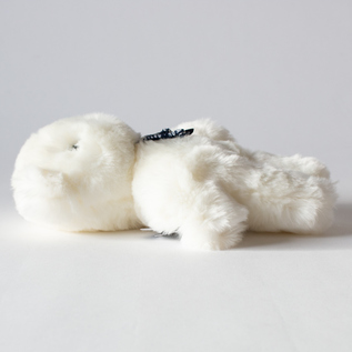 BLANC BLANC