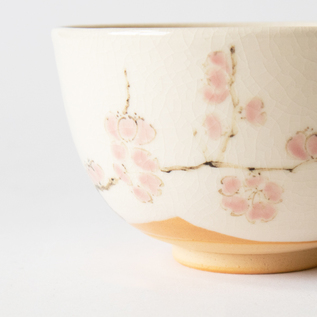 抹茶碗 紅白枝梅／西川貞三郎商店（にしかわていざぶろうしょうてん