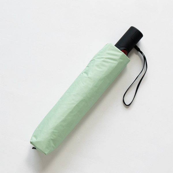 WASABI 󥿥åޤꤿ߻ U.220 COLORS