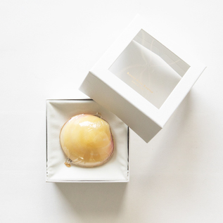 ソリッドパフューム 練り香水 ／ROOTS ROSE RADISH (ルーツローズ