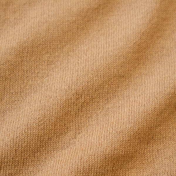 LIGHT CAMEL