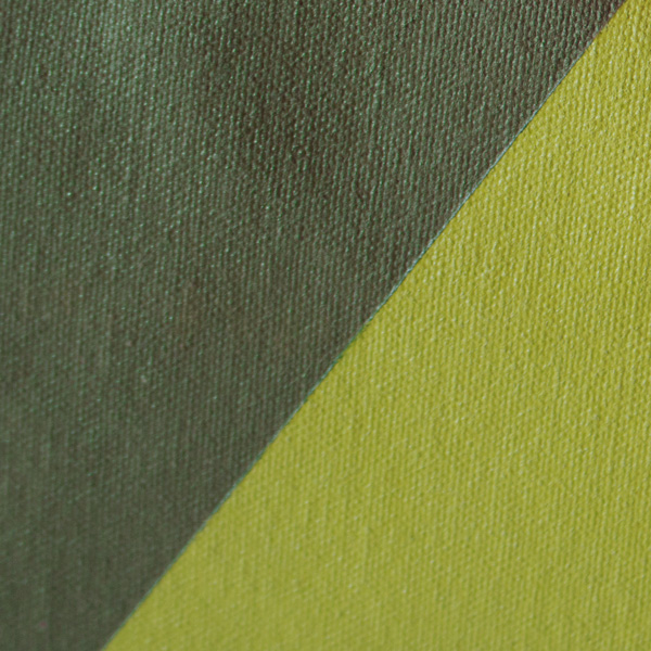 明るいグリーンが程よいアクセントになったOLIVE/PISTACHIO×BLACK