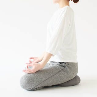 姿勢が整い、呼吸がしやすくなります(カバーを取り外した状態、取り扱いのないカラーです)