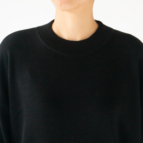 ミドルネックできちんと感 ミドルネックできちんと感