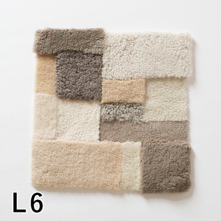 L6 L6