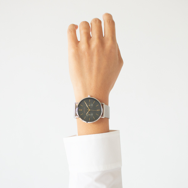 BERING Changes ユニセックス腕時計(BROWN SILVER)