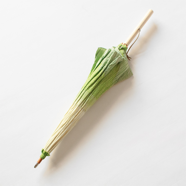 日傘　はくさい