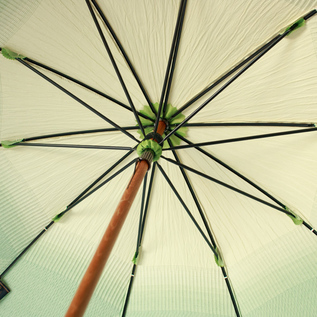 日傘 はくさい／槙田商店（まきた商店）｜愛着を持ってずっと