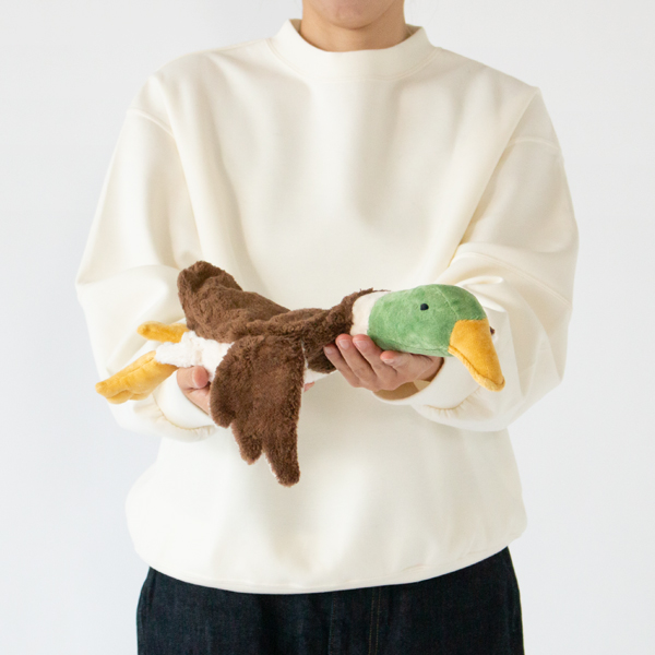 身長160cm(子)