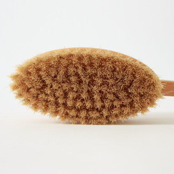 広めのブラシ面 広めのブラシ面