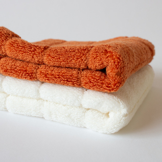 APRICOT ORANGE APRICOT ORANGE