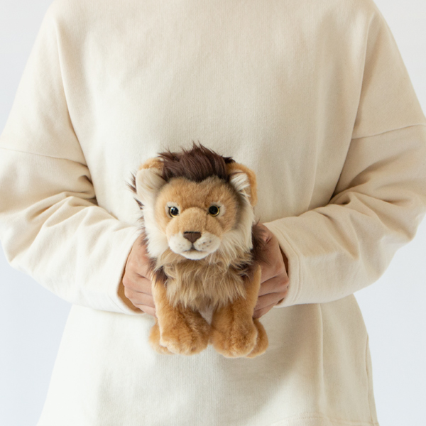 LION 23cm、身長156cm