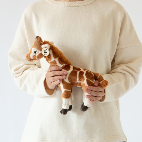 GIRAFFE 31cm、身長156cm